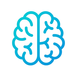 Brain (Mindset)